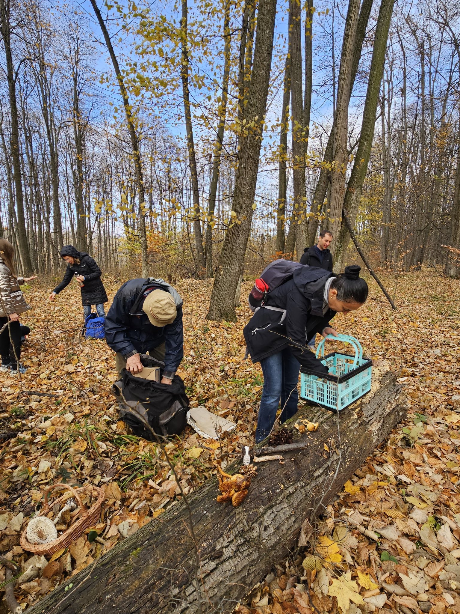 Activitate de teren – Monitorizarea diversității fungice în masivul păduros Bârnova-Repedea, Iași