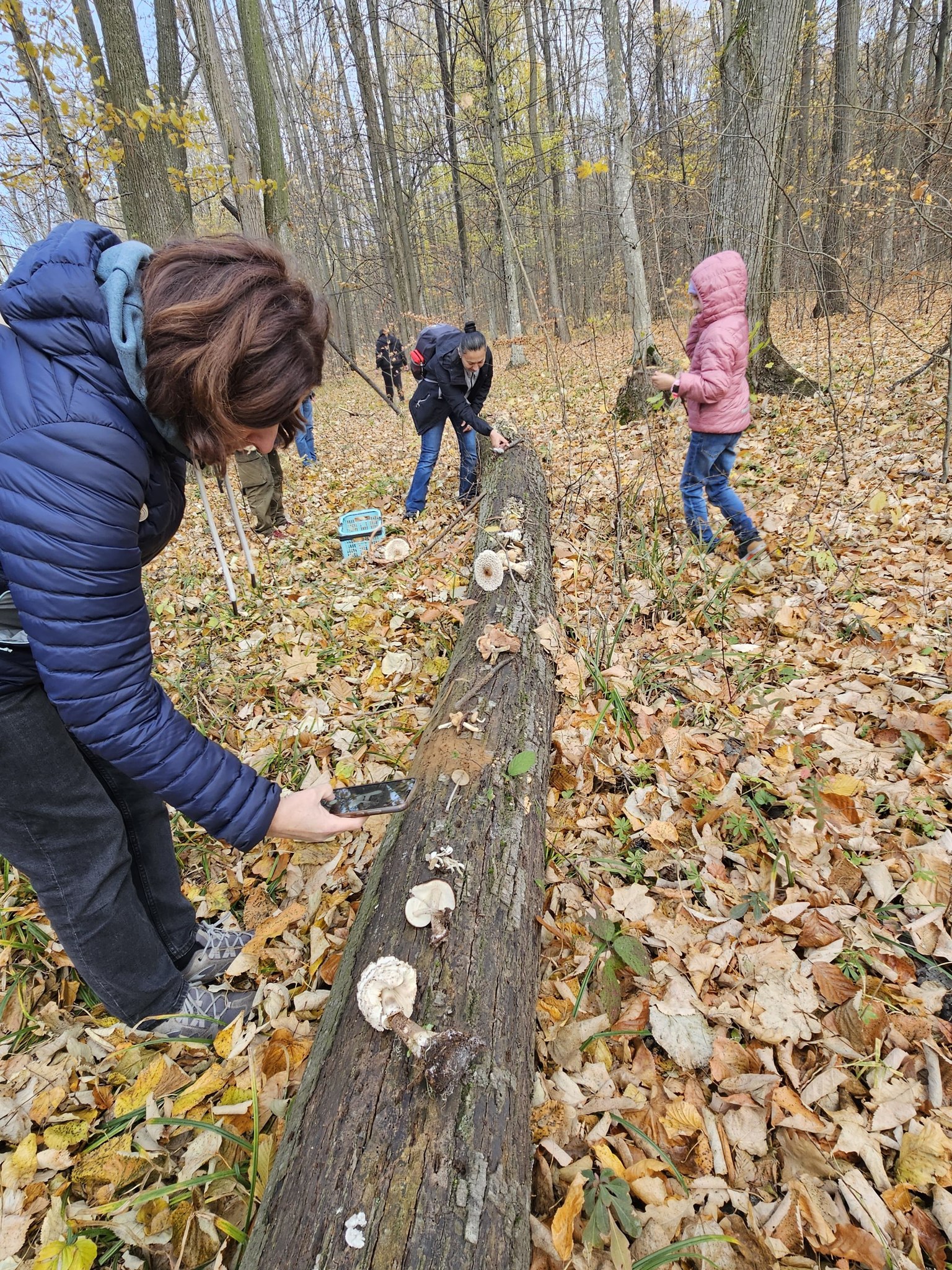 Activitate de teren – Monitorizarea diversității fungice în masivul păduros Bârnova-Repedea, Iași