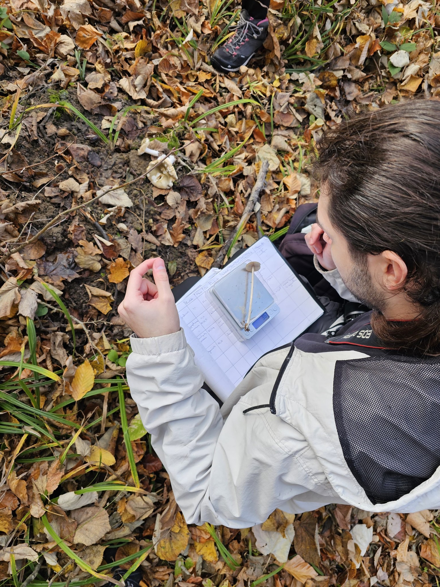 Activitate de teren – Monitorizarea diversității fungice în masivul păduros Bârnova-Repedea, Iași