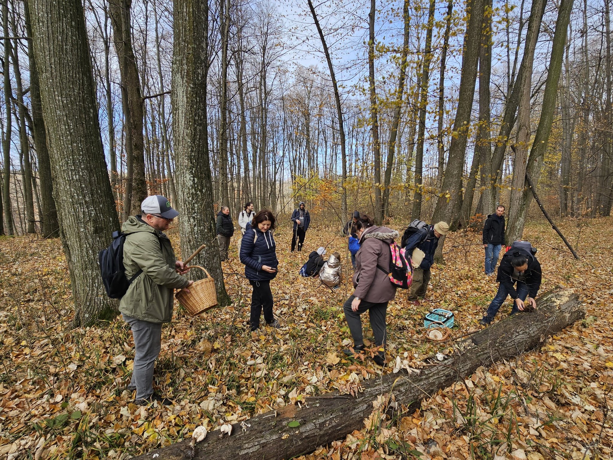 Activitate de teren – Monitorizarea diversității fungice în masivul păduros Bârnova-Repedea, Iași