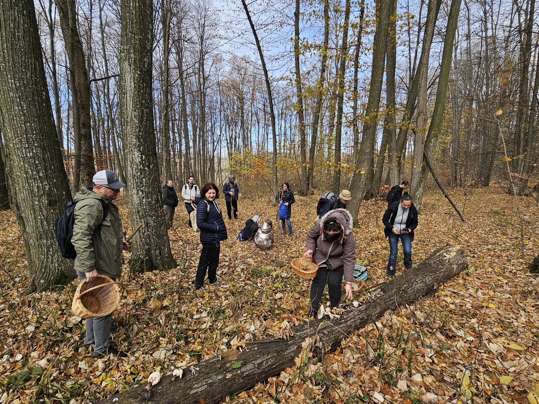 Activitate de teren – Monitorizarea diversității fungice în masivul păduros Bârnova-Repedea, Iași