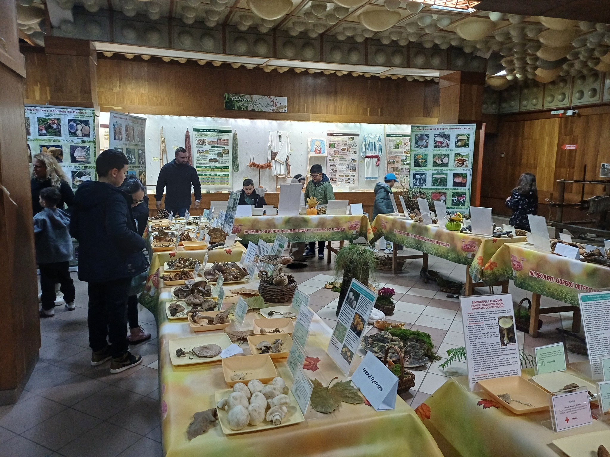 Expoziţia temporară de ciuperci proaspete „LUMEA CIUPERCILOR”, ediţia a XIX-a, Complexul Muzeal de Ştiinţele Naturii „Ion Borcea” Bacău