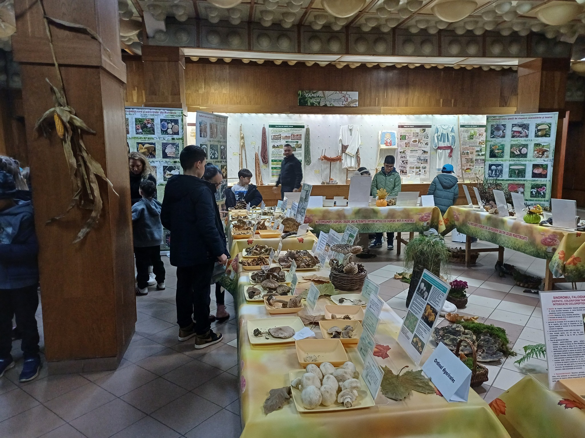 Expoziţia temporară de ciuperci proaspete „LUMEA CIUPERCILOR”, ediţia a XIX-a, Complexul Muzeal de Ştiinţele Naturii „Ion Borcea” Bacău