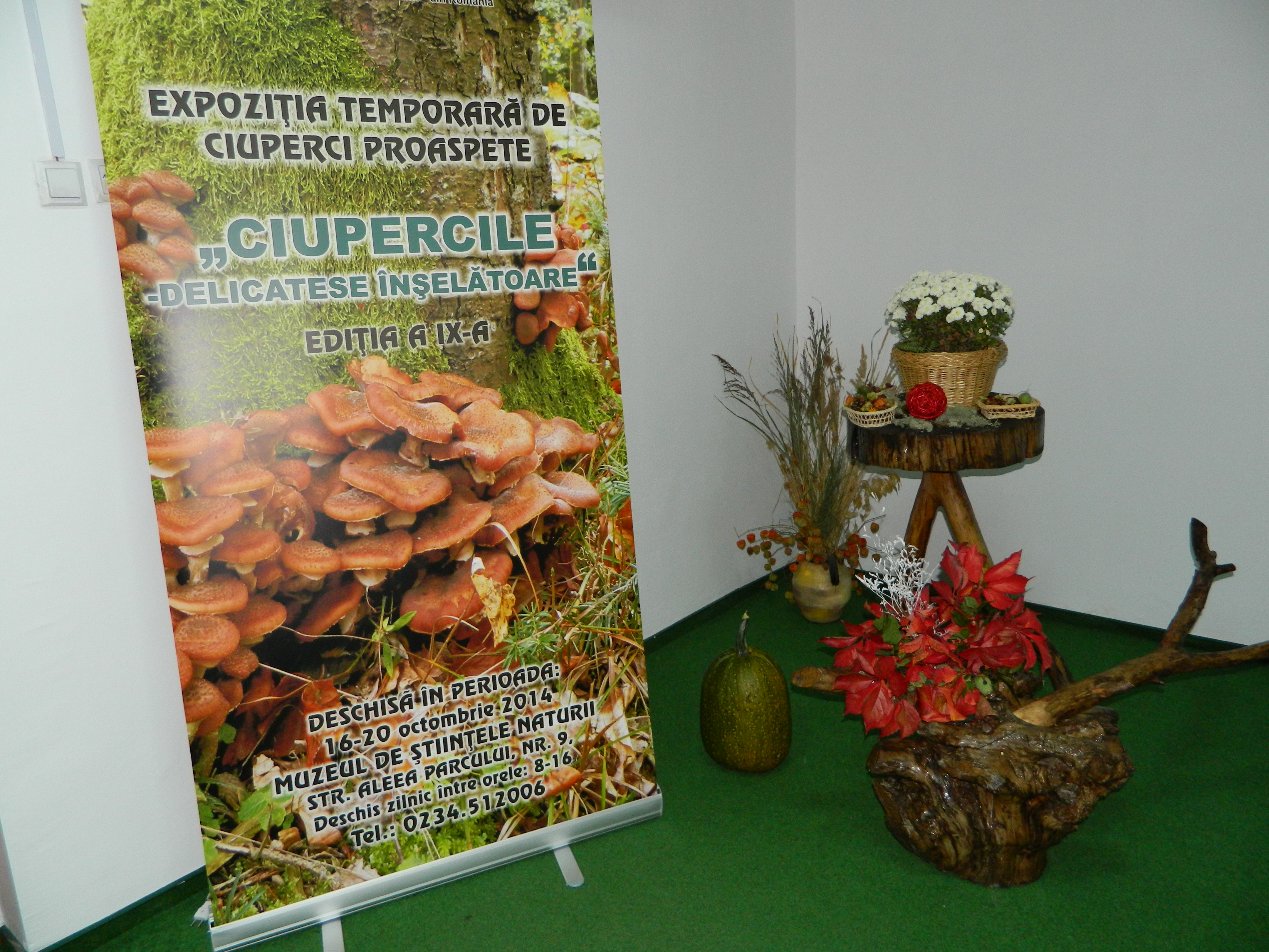 Simpozionul naţional de micologie, Ediţia a XXV-a, 16-17 octombrie 2014, Bacău