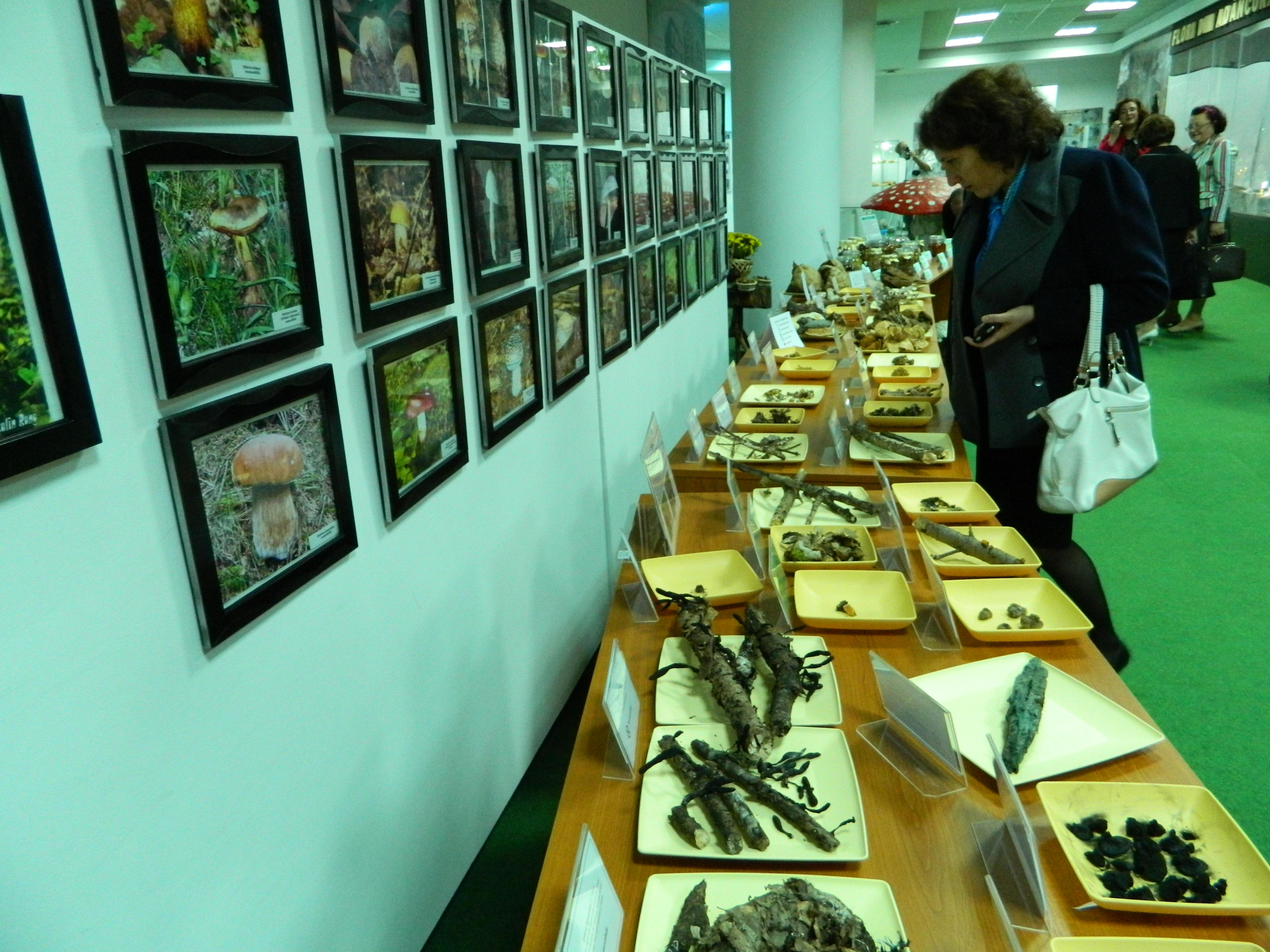 Simpozionul naţional de micologie, Ediţia a XXV-a, 16-17 octombrie 2014, Bacău