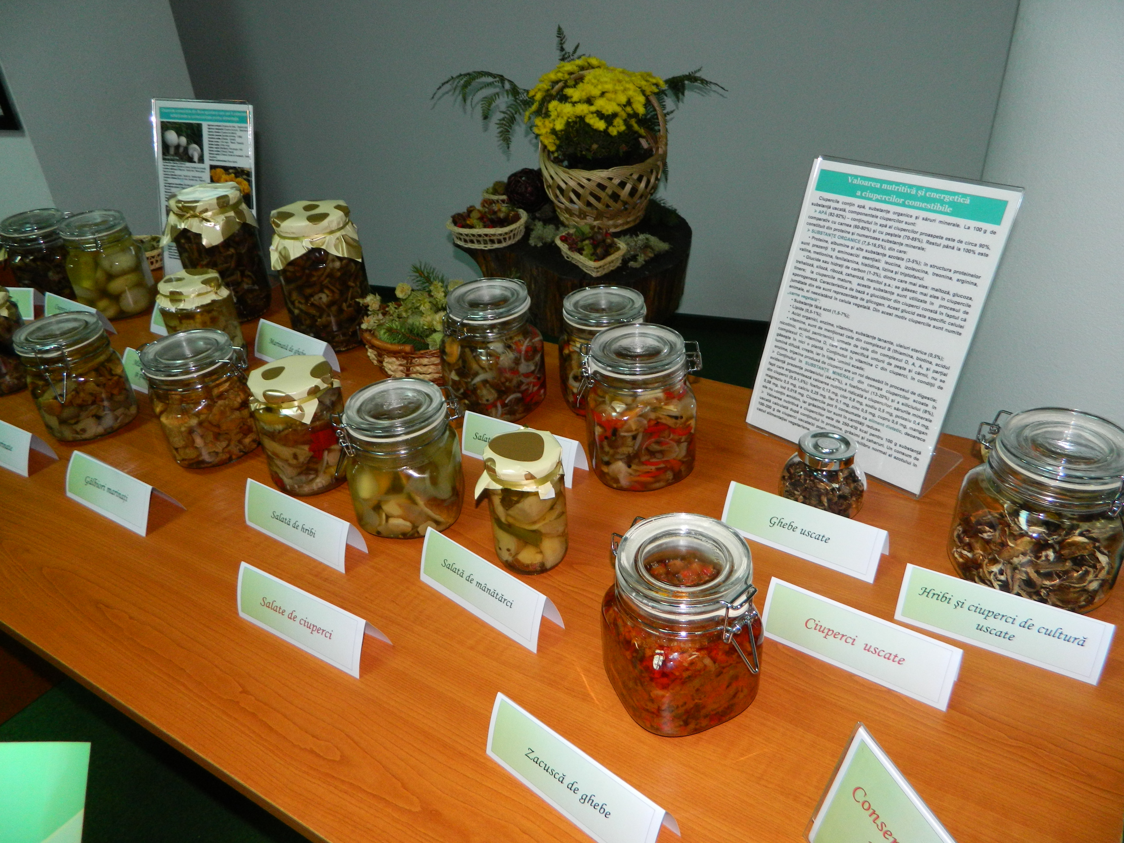 Simpozionul naţional de micologie, Ediţia a XXV-a, 16-17 octombrie 2014, Bacău