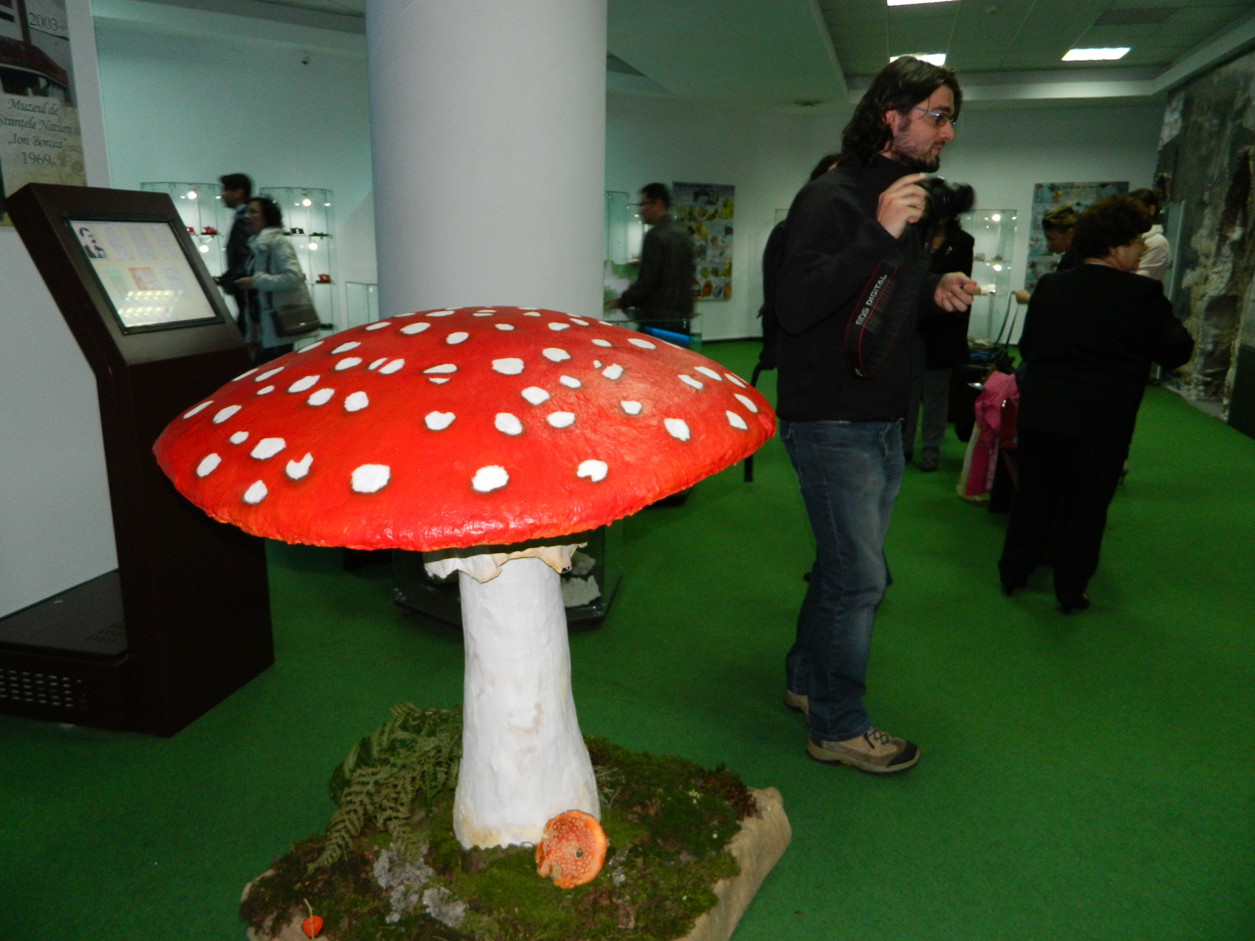 Simpozionul naţional de micologie, Ediţia a XXV-a, 16-17 octombrie 2014, Bacău