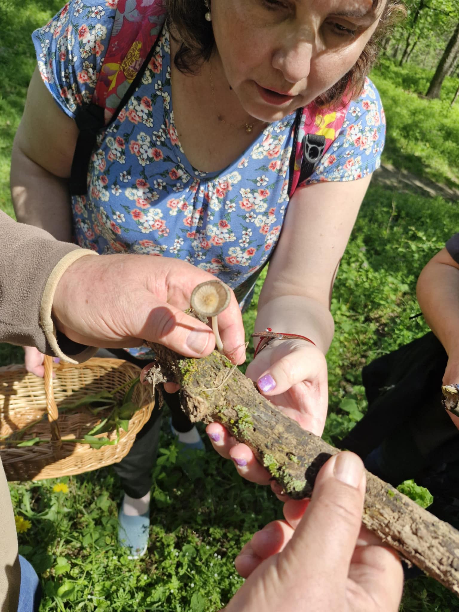 Să marcăm împreună Ziua Pământului!