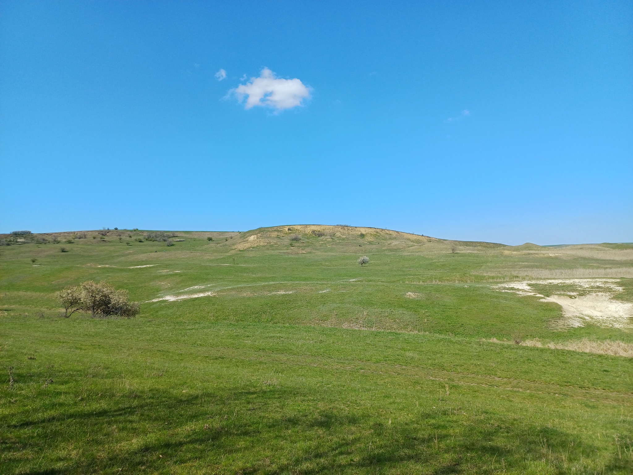 Să marcăm împreună Ziua Pământului!