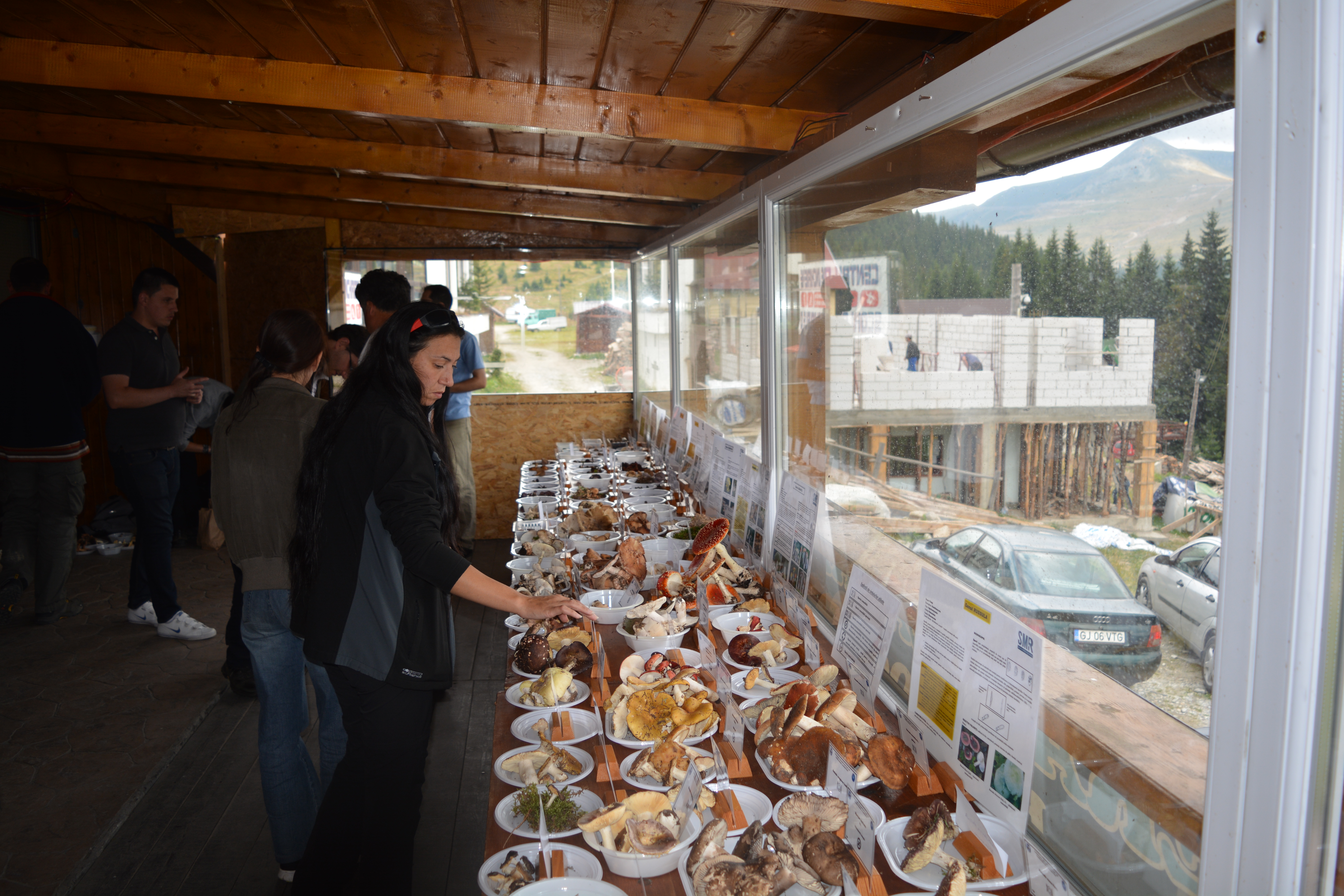 Tabăra micologică, Ediția a II-a, 18-21 august 2016, Rânca - Județul Gorj