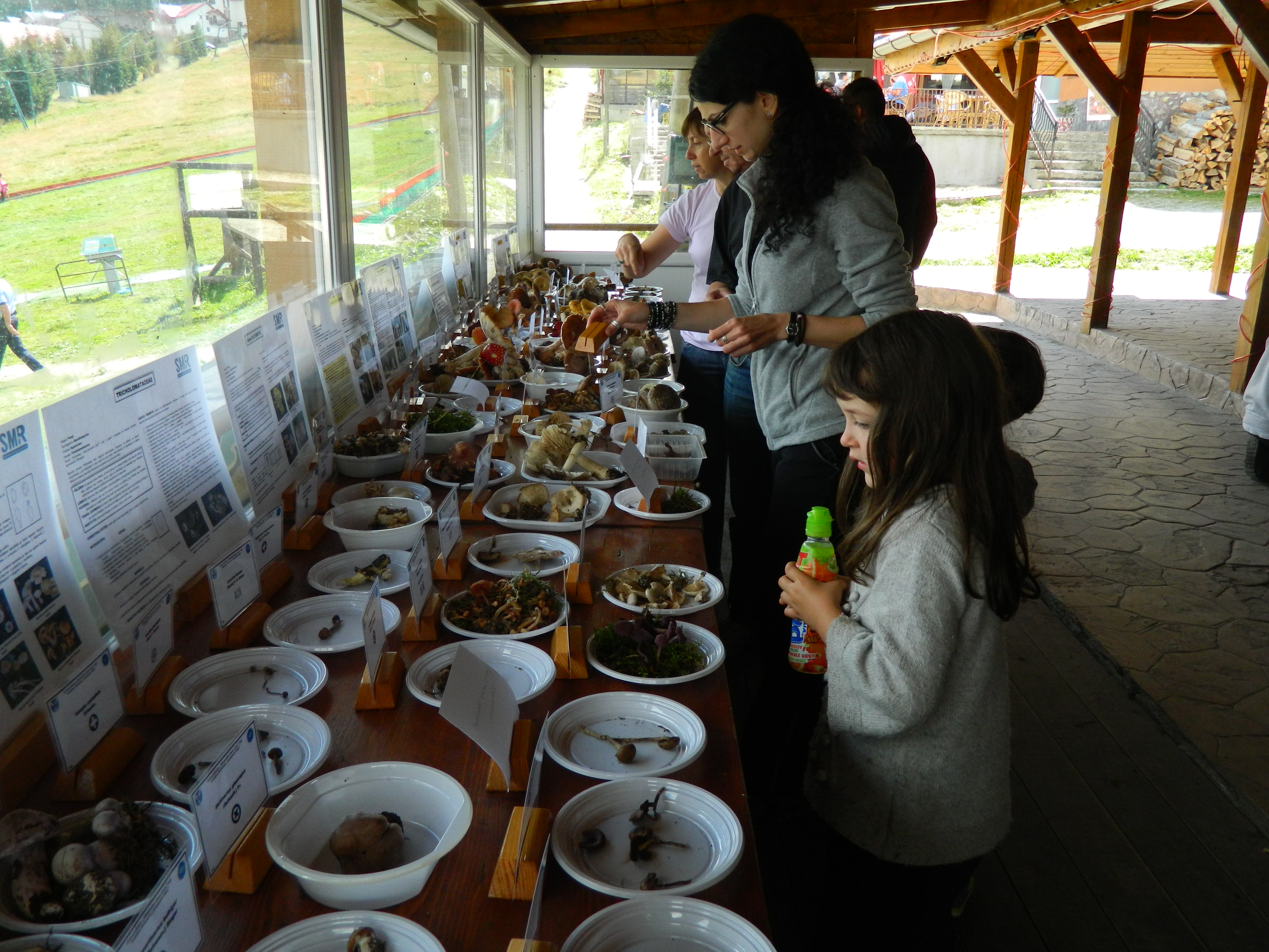 Tabăra micologică, Ediția a II-a, 18-21 august 2016, Rânca - Județul Gorj
