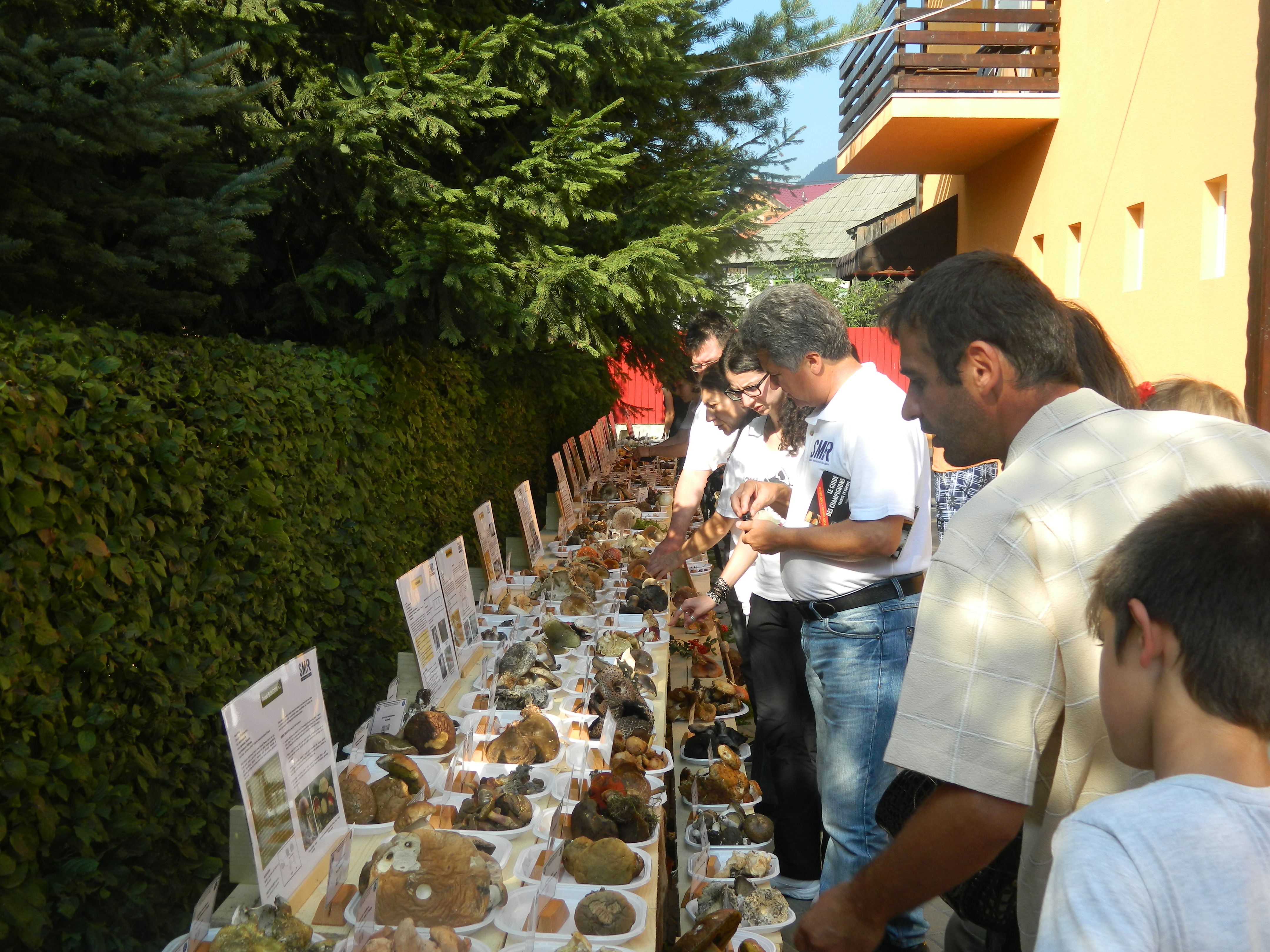 Tabăra micologică, Ediția I, 27-30 august 2015, Fărcașa, Județul Neamț