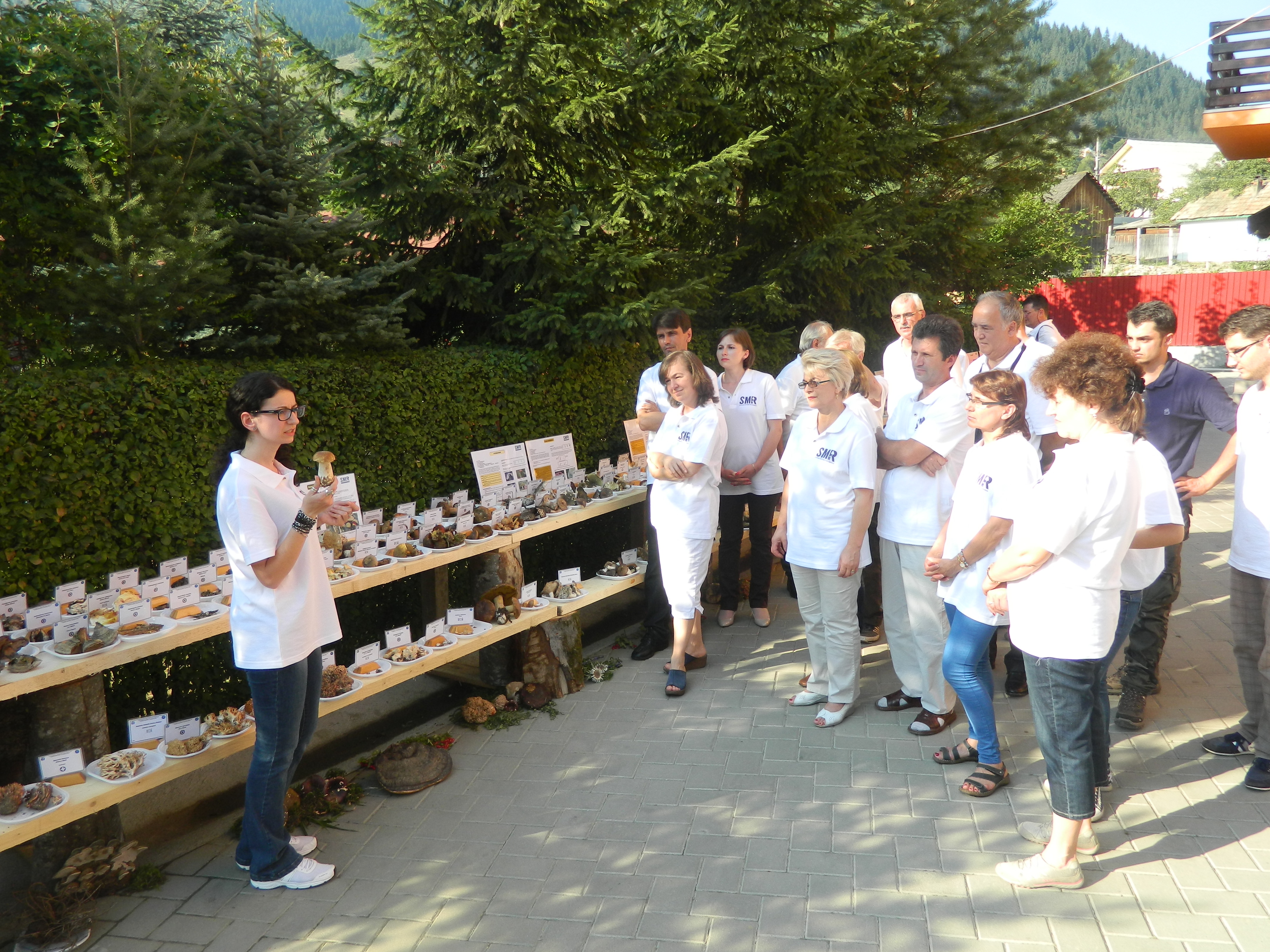 Tabăra micologică, Ediția I, 27-30 august 2015, Fărcașa, Județul Neamț