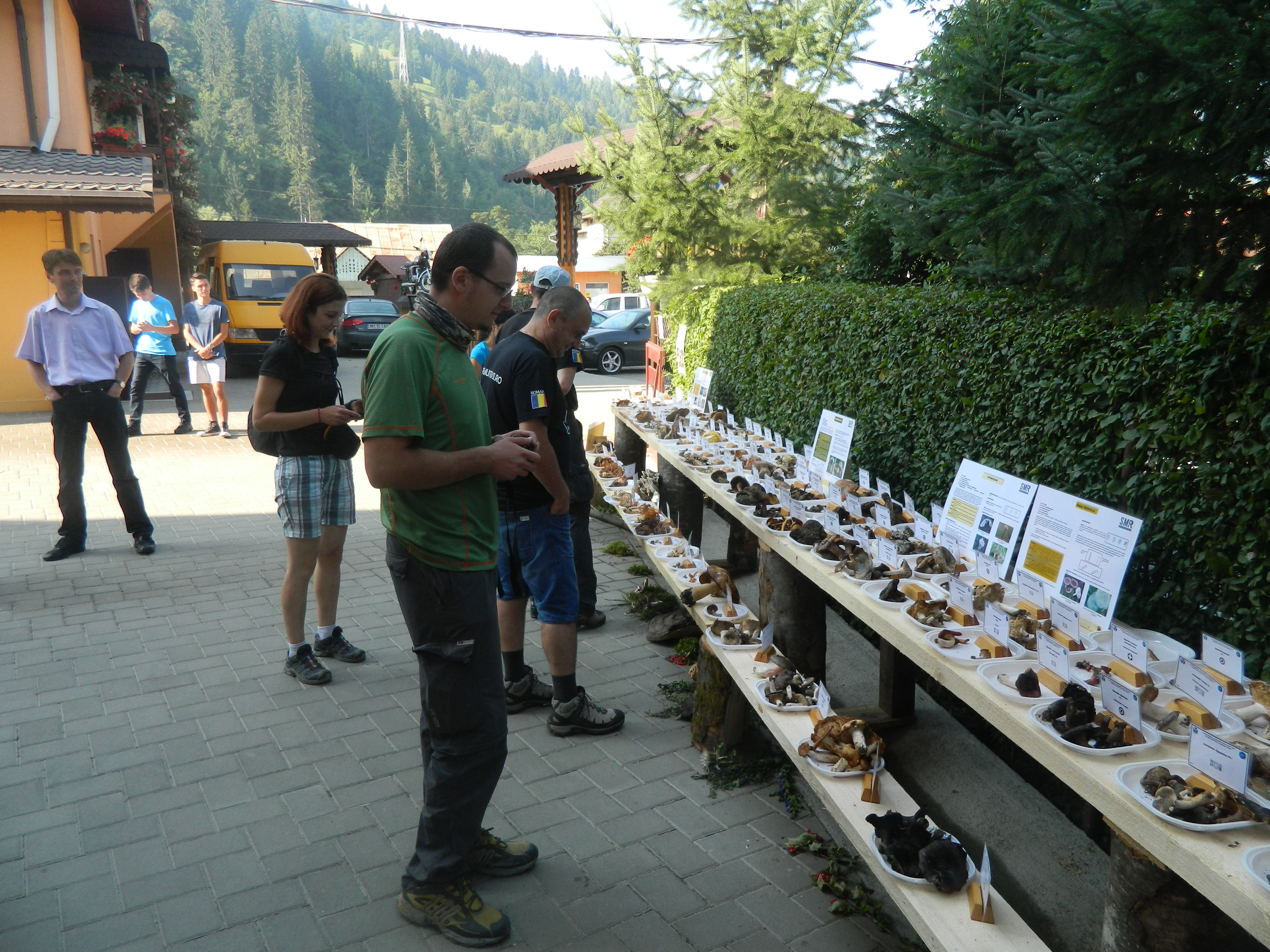 Tabăra micologică, Ediția I, 27-30 august 2015, Fărcașa, Județul Neamț