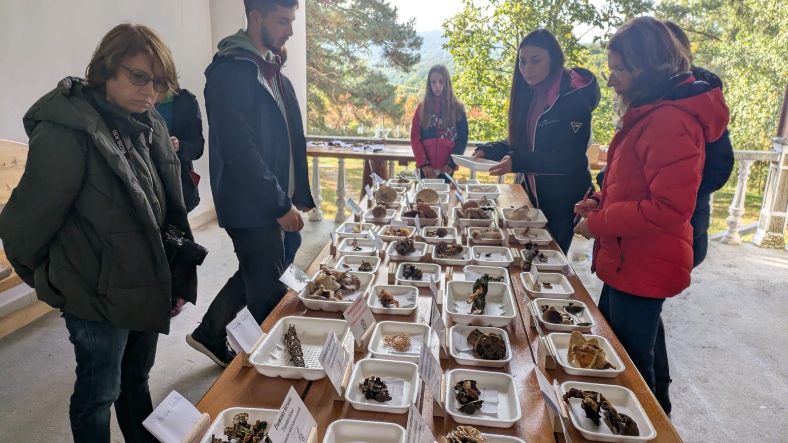 Tabăra Micologică SMR - MicoMonitor, Ediția a IV-a, 3-5 octombrie 2025, Rezervația Codrii - Republica Moldova