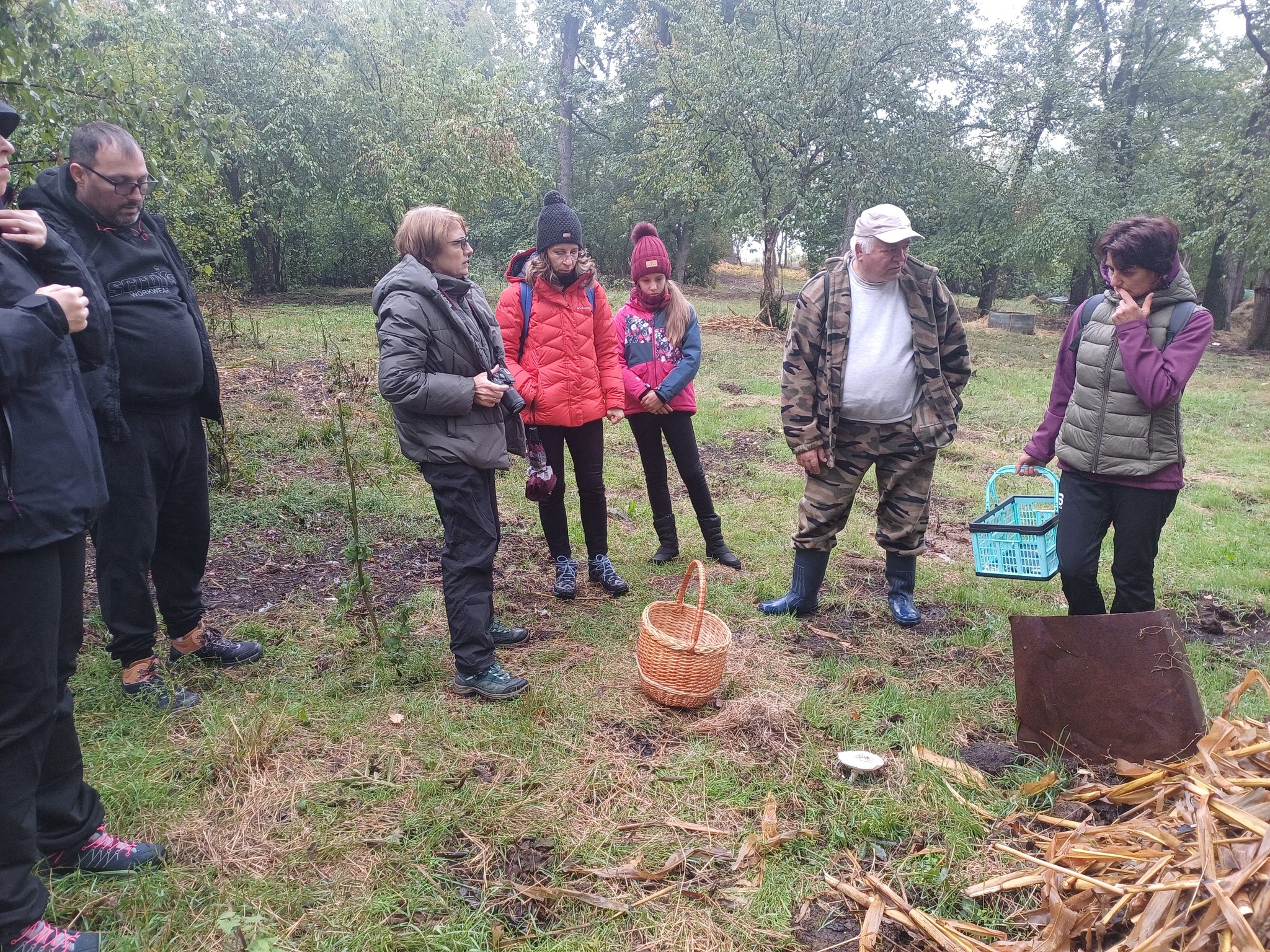 Tabăra Micologică SMR - MicoMonitor, Ediția a IV-a, 3-5 octombrie 2025, Rezervația Codrii - Republica Moldova