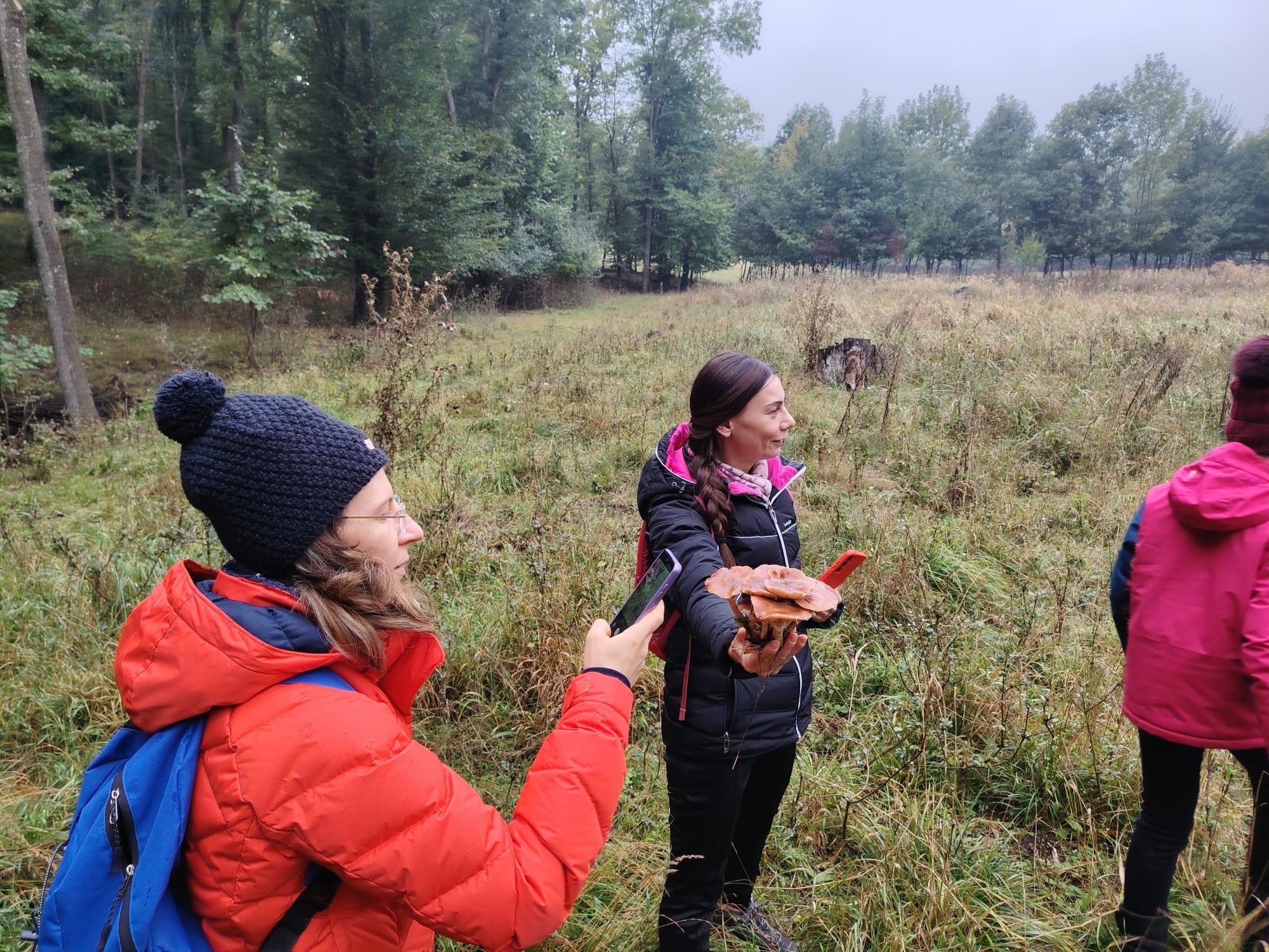 Tabăra Micologică SMR - MicoMonitor, Ediția a IV-a, 3-5 octombrie 2025, Rezervația Codrii - Republica Moldova