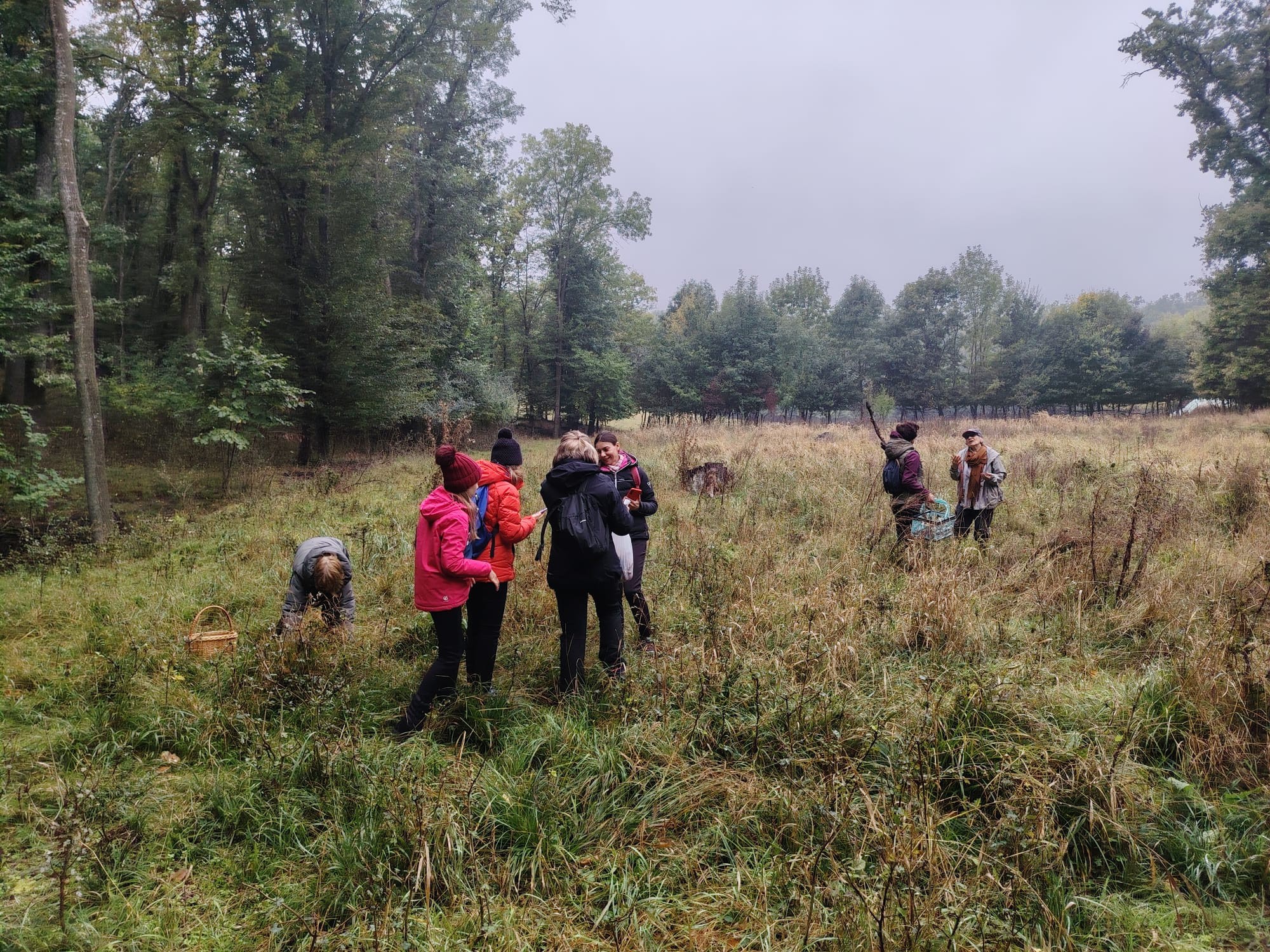 Tabăra Micologică SMR - MicoMonitor, Ediția a IV-a, 3-5 octombrie 2025, Rezervația Codrii - Republica Moldova