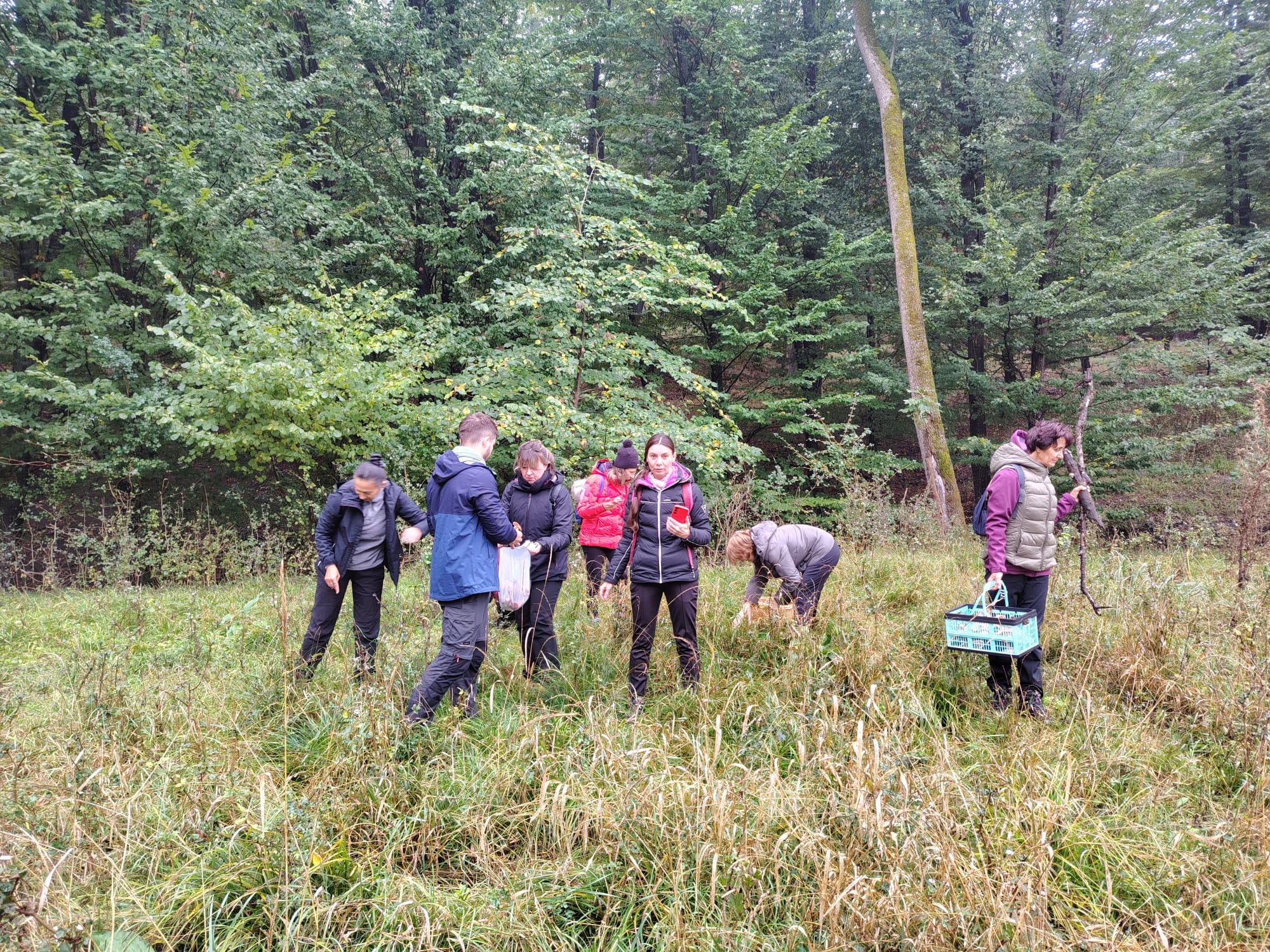 Tabăra Micologică SMR - MicoMonitor, Ediția a IV-a, 3-5 octombrie 2025, Rezervația Codrii - Republica Moldova