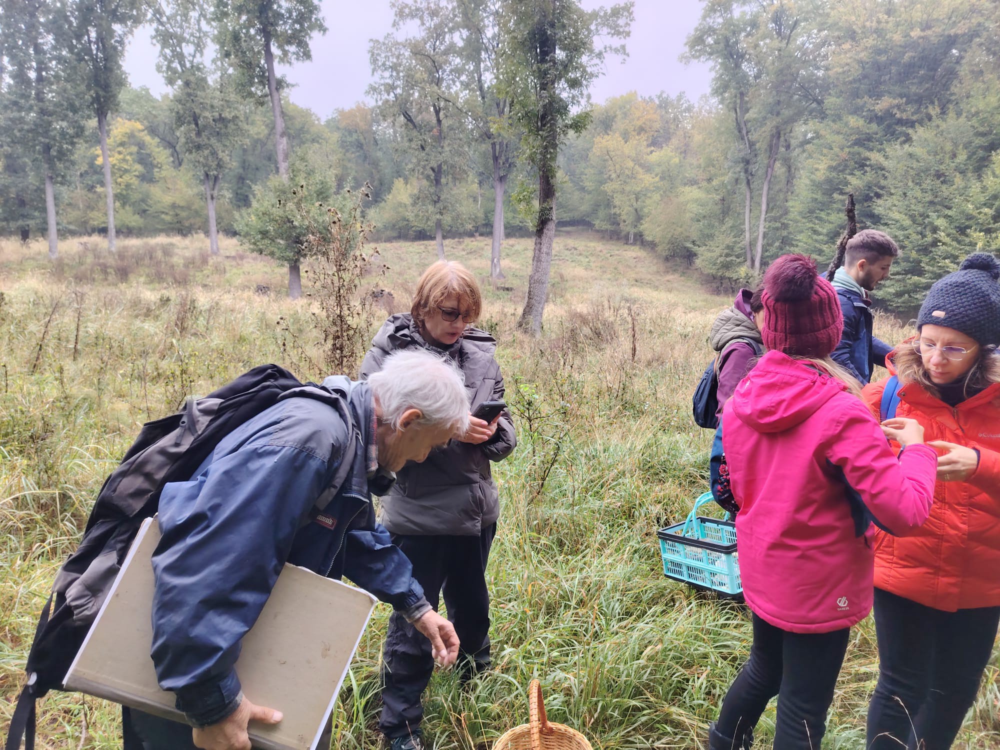 Tabăra Micologică SMR - MicoMonitor, Ediția a IV-a, 3-5 octombrie 2025, Rezervația Codrii - Republica Moldova