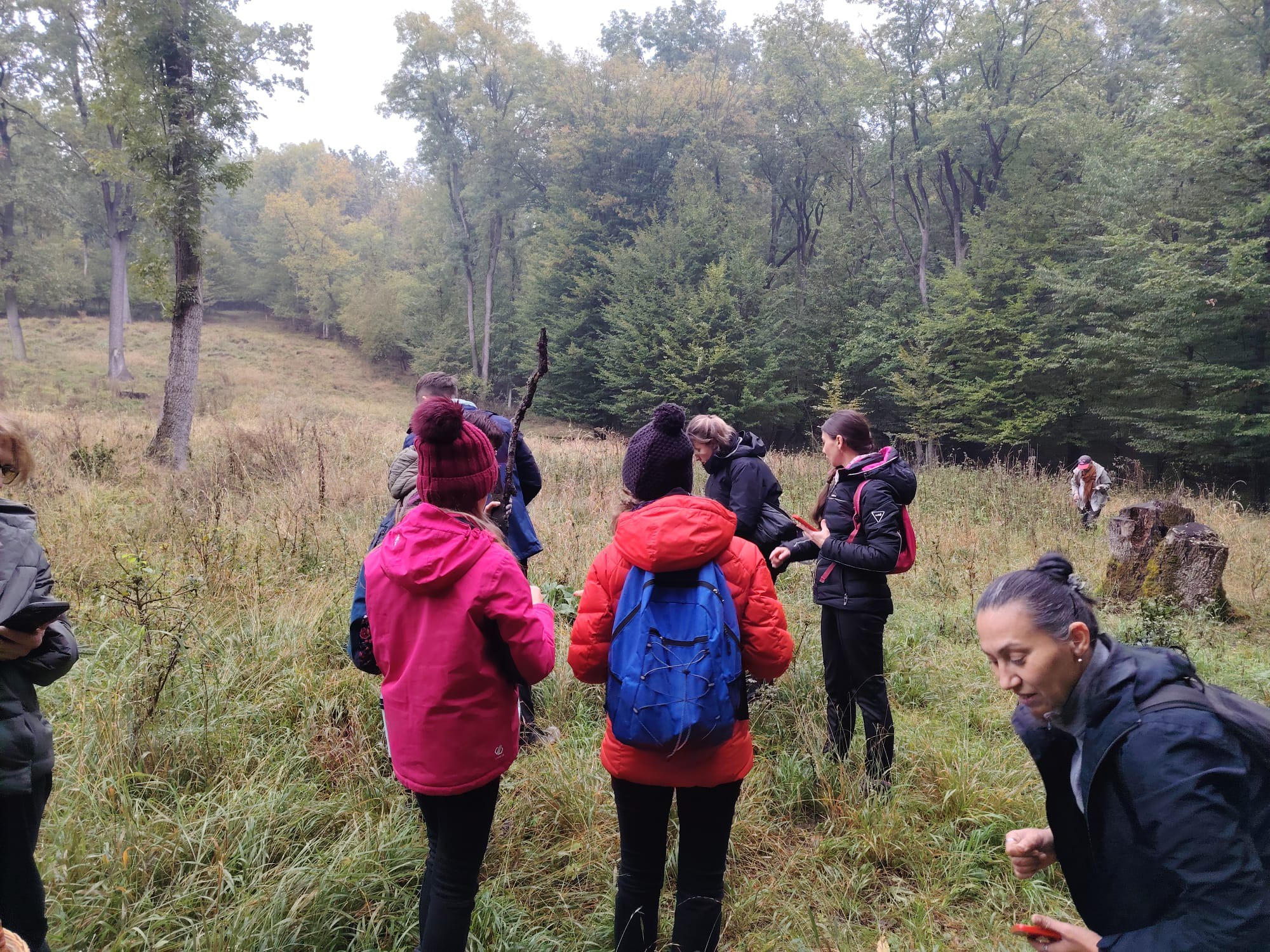 Tabăra Micologică SMR - MicoMonitor, Ediția a IV-a, 3-5 octombrie 2025, Rezervația Codrii - Republica Moldova